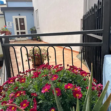 Niu Susu Bed and breakfast